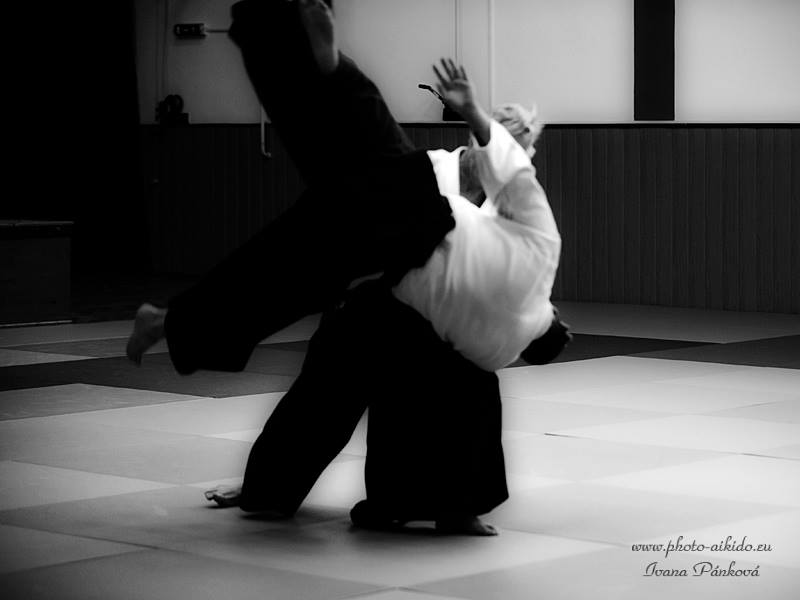 aikido training